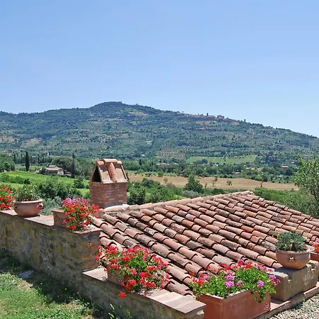 Margherita